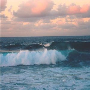 Meet your Posher, Bailee